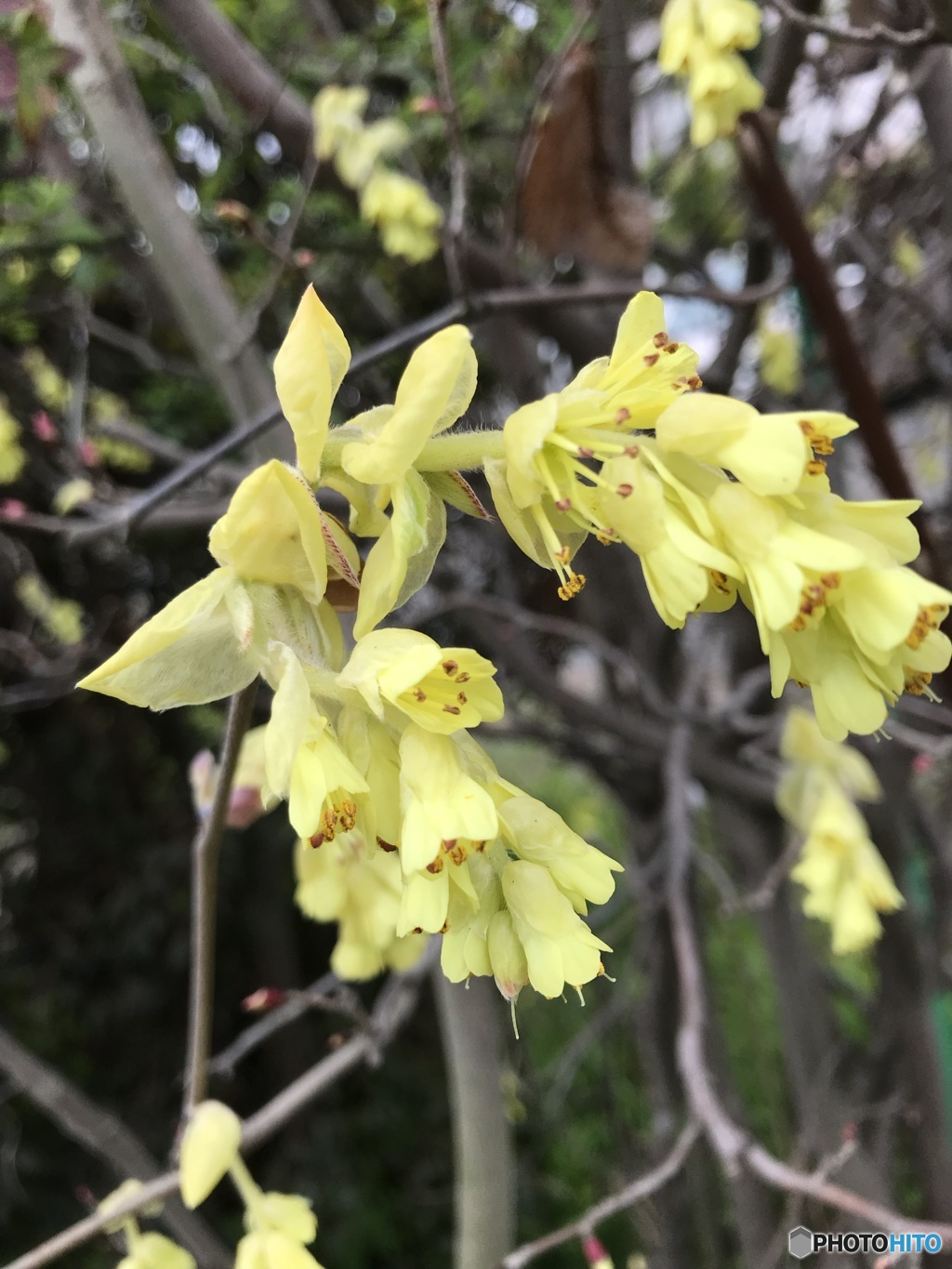 スマホ写ん歩　２