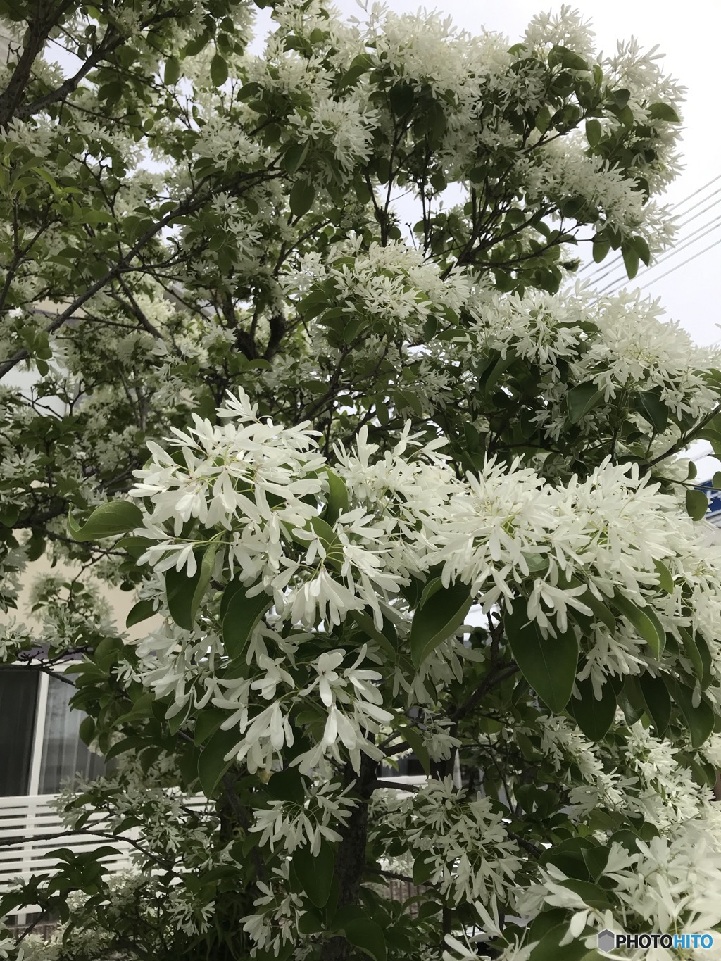 メモメモ