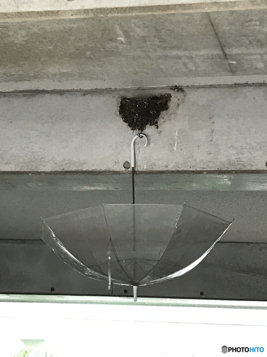 優しい人たちの住む町