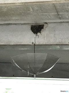 優しい人たちの住む町