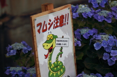 ああ、ため池・・・