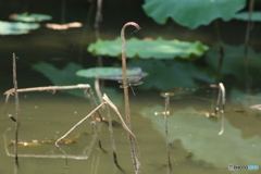 え？止まってる！