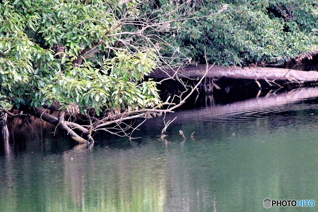 後、何ｍｍあれば撮れる？？