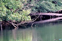 後、何ｍｍあれば撮れる？？