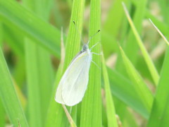 一休み♪