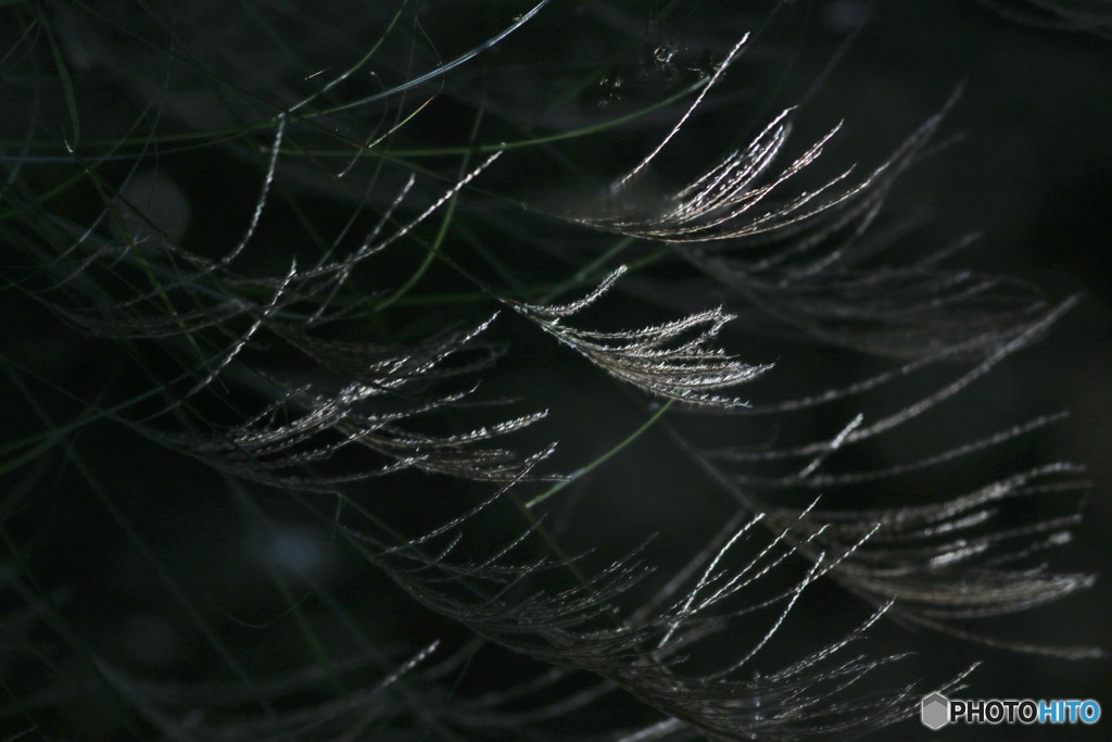 水鏡