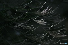 水鏡