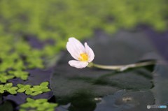 別アングルから