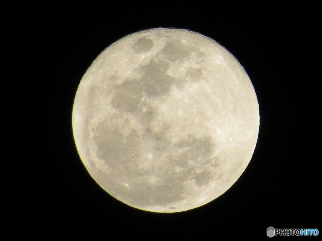 満月です