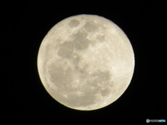 満月です