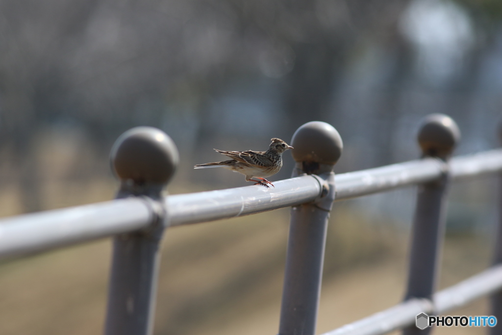 着地、満点？