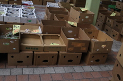 140819　下町もとい下積み合唱団