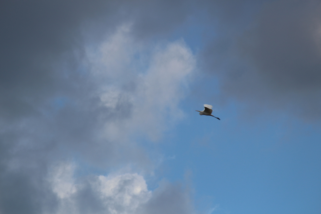 さらに、空の高みへ