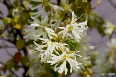 お名前は？？　２