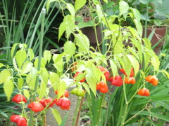 よくよく見たら、あら～～～