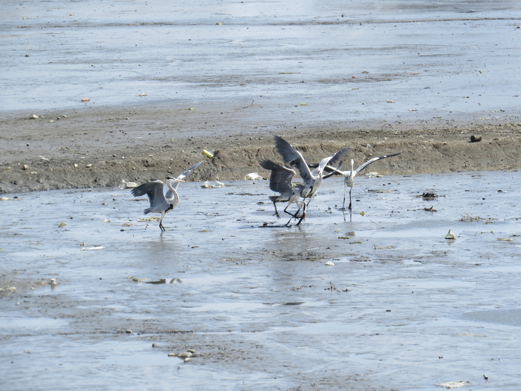事件勃発→泥沼