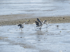 事件勃発→泥沼