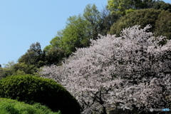 伝説のため池公園