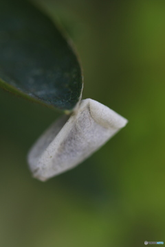 なんじゃろう？？