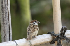 ちょっと不安だけど