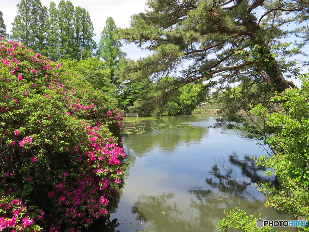 伝説のため池公園