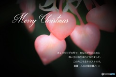 Merry Christmas♪