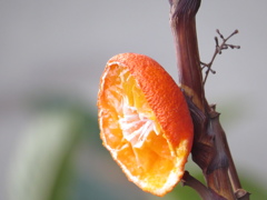 証拠写真…です(^^ゞ