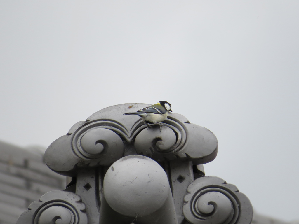 日本の美、瓦？