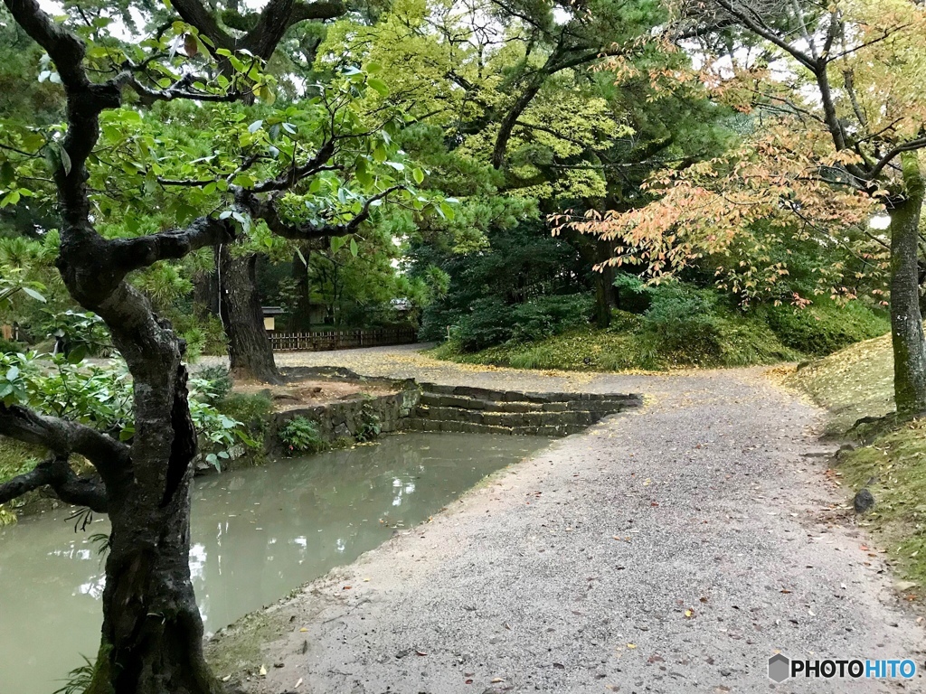 しっとりと
