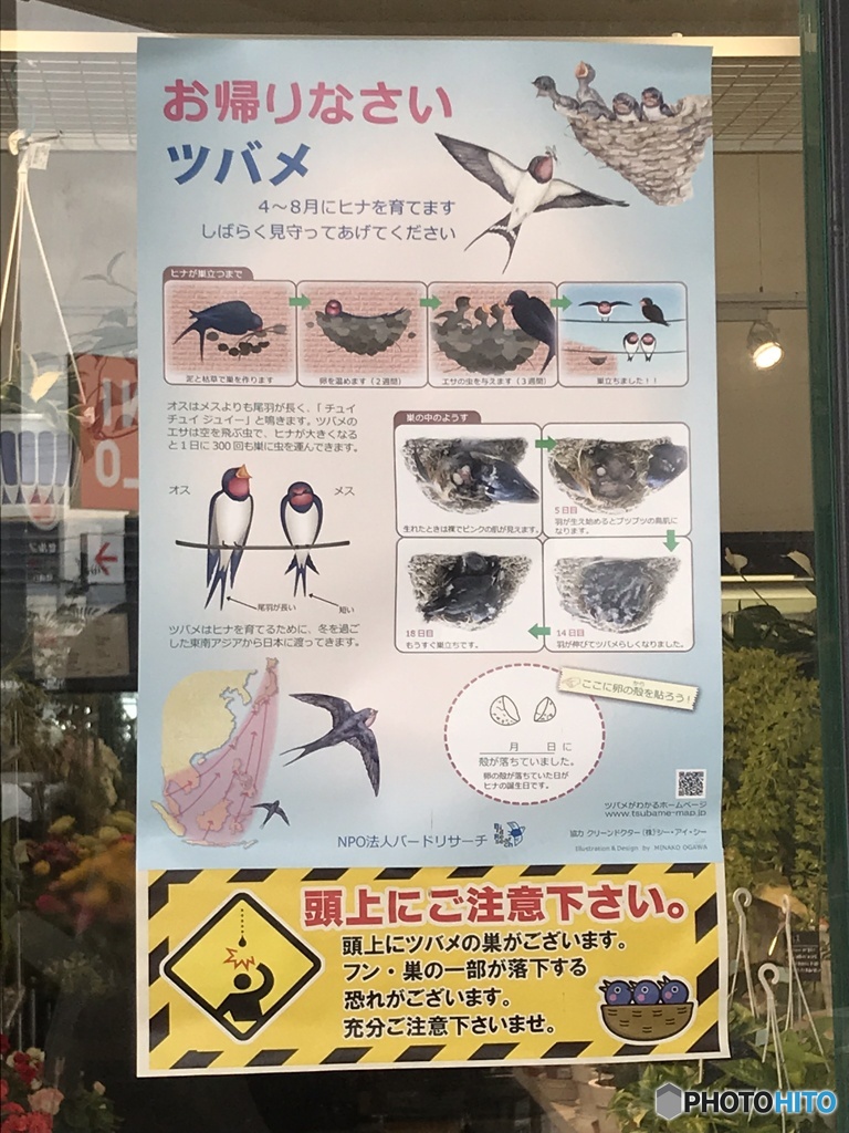 素敵ポスター