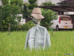 24時間勤務