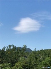 夏を惜しむ