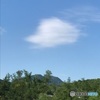 夏を惜しむ