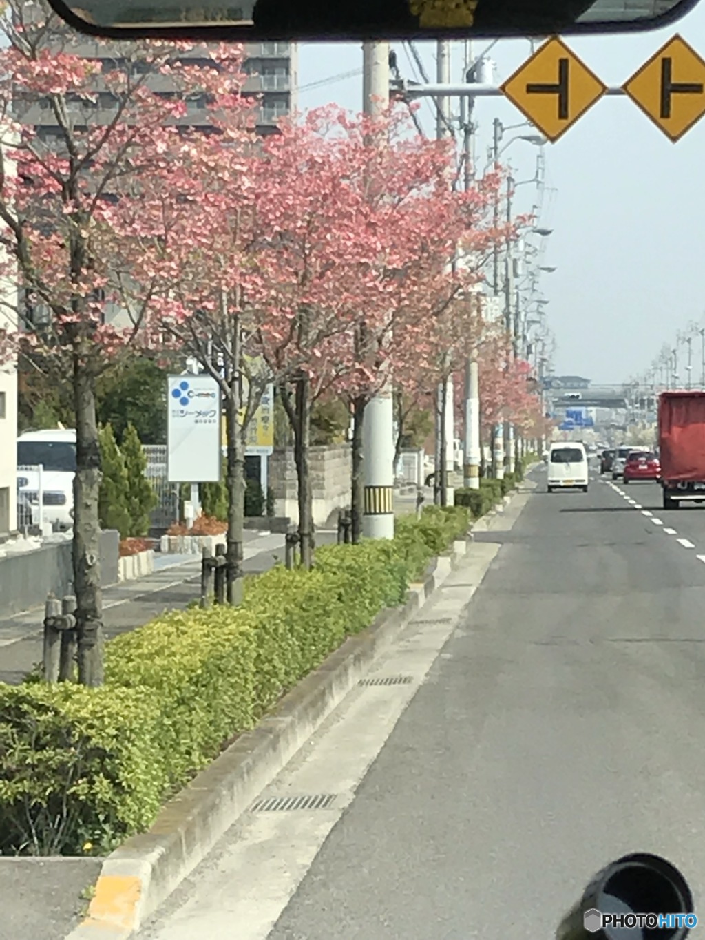 花の道を行く