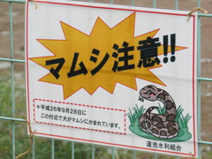 えぇぇ～～(>_<)