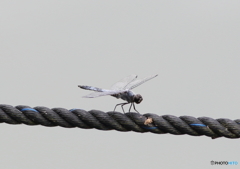 On top of the rope