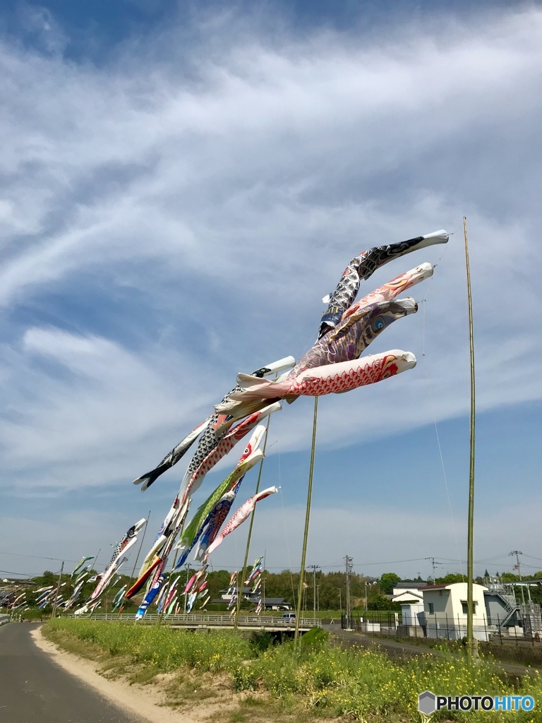 初夏の風になる