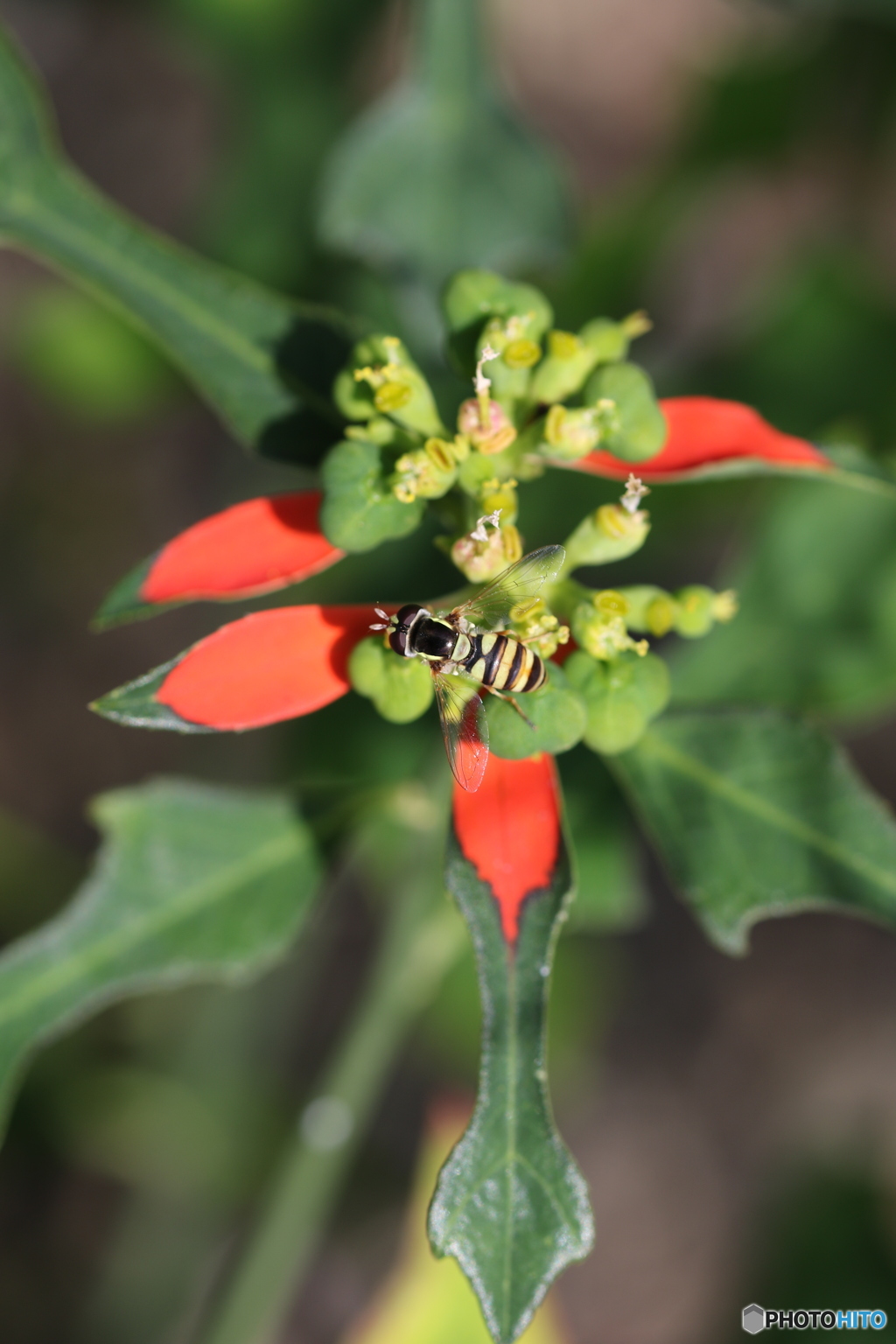 こんな可愛い子も♪