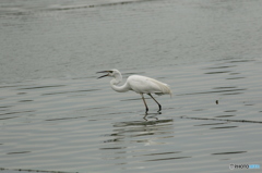 うんまい！小さい編