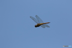 400ｍｍで