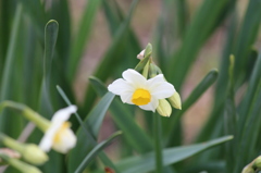 どうぞお気をつけて