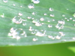 雨のち晴れ