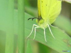 小さな発見