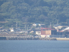 遊んでみた