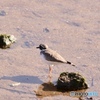 水温む？？