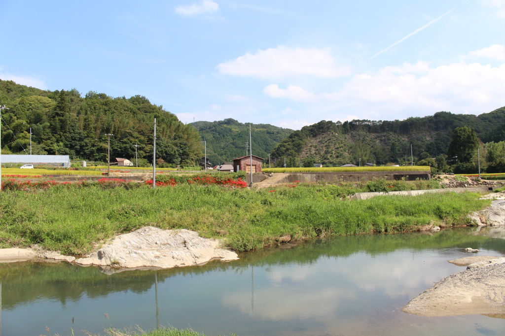 秋晴れ