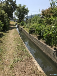 この水路から