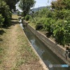この水路から