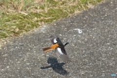 飛んだ！