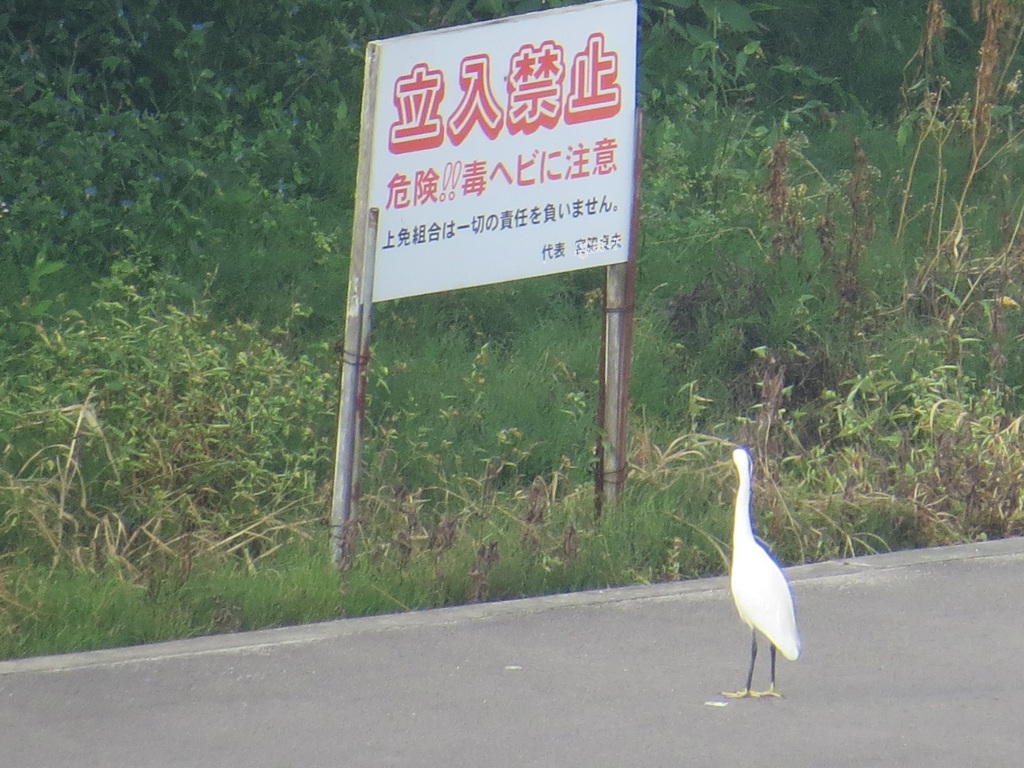 ん？なんて書いてあるんだろう？？？